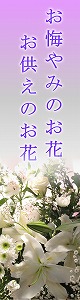 ������ߤβ�/�������β�